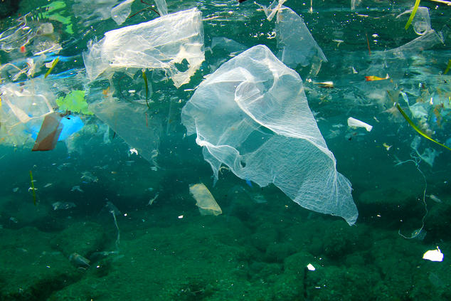 Plastics continue to pollute the world's oceans
